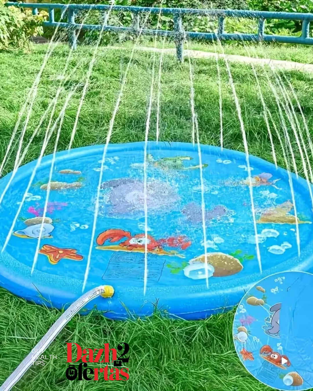 Piscina portátil Extra grande con piletas para niños y mascotas